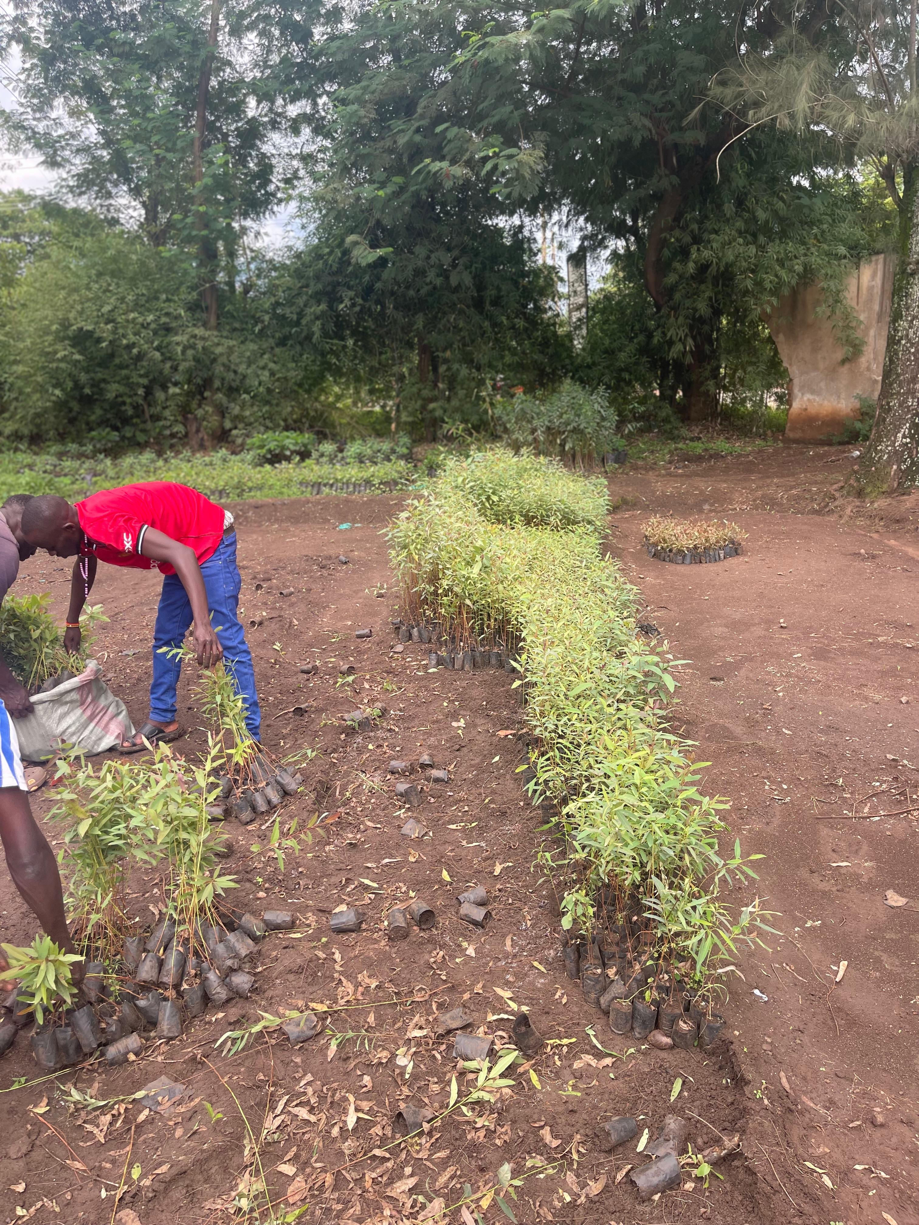 Munyona Foundation Gallery Image 80
